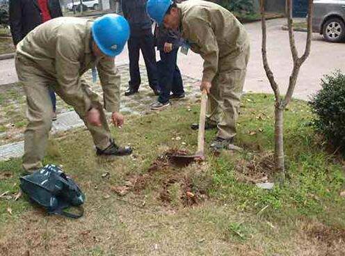 发现白蚁,居民请勿自行处理